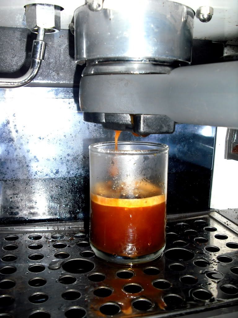 CoffeeGeek Espresso Espresso Machines, Estro Profi / * Barista Newbie
